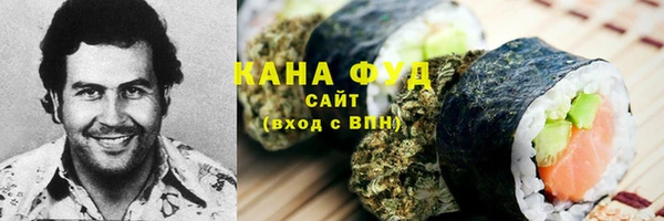 молекула духа Волоколамск