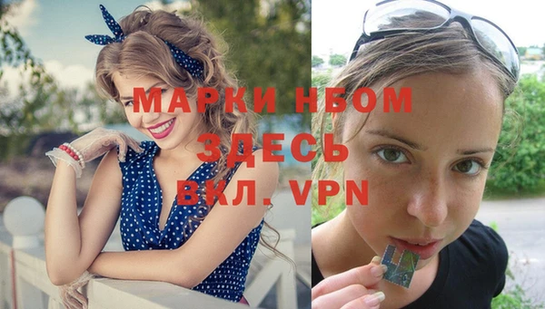 дживик Володарск