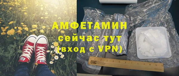 молекула духа Волоколамск