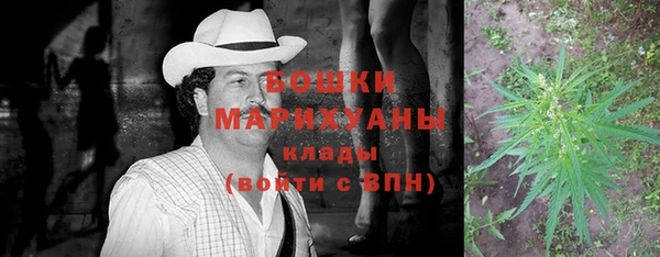дживик Володарск