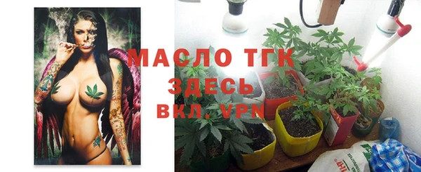 дживик Володарск