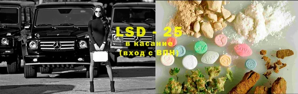 дживик Володарск