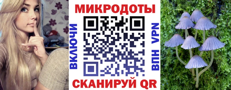 Псилоцибиновые грибы MAGIC MUSHROOMS  цена наркотик  KRAKEN маркетплейс  Шагонар 