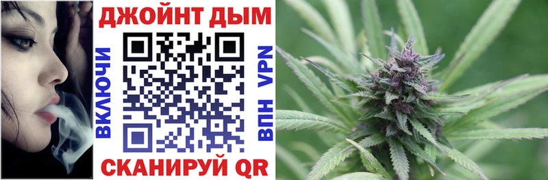 Канабис планчик  Шагонар 